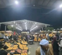 اسعار المانجو في اليمن تسجل انهيار تاريخي والبطاطس يتفوق عليها في الاسعار.. تفاصيل ازمة خانقه يواجهها المزارعين في اليمن!