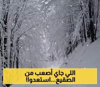 كارثة مناخية قادمة.. السعودية على موعد مع برد قطبي لم تعهده من قبل