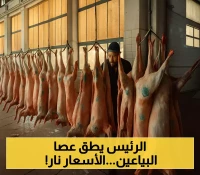 قرار حاسم من الحكومة اليمنية في عدن بمنع تصدير المواشي المحلية.. وإجراءات صارمة لضبط أسعار اللحوم !
