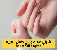 "التأمينات الاجتماعية" السعودية تفتح باب التسجيل في منفعة الأمومة لعام 1447... تعرّفي على المزايا الجديدة والشروط!