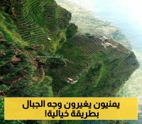 شاهد.. عبقرية الفلاح اليمني في هندسة المدرجات الزراعية الأسطورية وتحويل الجبال الشاهقة إلى أراض خصبة ! (صور مُبهرة )