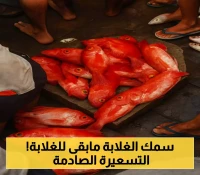 تغيرات الأسواق السمكية في عدن: قفزة سعرية مفاجئة تضرب "سمك الغلابة".. تعرف على التسعيرة الجديدة !
