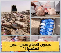 "المواصفات اليمنية" تكشف الماركات البرازيلية المرفوضة يمنياً وإتلاف أكثر من 10 آلاف كرتون دجاج مجمد بعدن ! (صور)