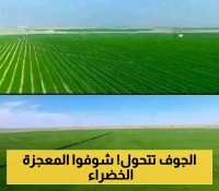 شاهد.. كيف تحولت محافظة الجوف اليمنية من صحراء قاحلة إلى جنة خضراء وإنتاج وفير لزراعة القمح ! (صور مدهشة)