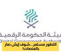 عاجل.. الحكومة الرقمية تدمج وتغلق 267 منصة لتعزيز كفاءة الخدمات في السعودية