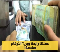 "الدولار بـ3000 ريال"... خطة صادمة يكشف تفاصيلها خبير اقتصادي لانهيار العملة اليمنية في 2025م !