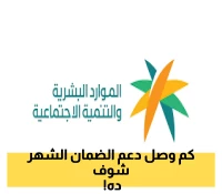 لا تنتظر أكثر .. وزارة الموارد البشرية تُعلن حقيقة زيادة دعم الضمان المطور لشهر أغسطس