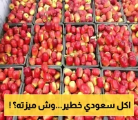 محافظة الجوف تعلن عن بدء حصاد (التفاح الجوفي) منتج محلي بمواصفات عالمية..تفاصيل توفره في الاسواق!