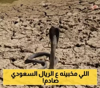 سعر الريال السعودي في مواجهة الجنيه المصري والعملات العربية: تحديث الأربعاء