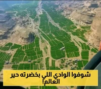 بالفيديو.. شاهد وادي بني حُشيش وكنوزه الخضراء حيث ينبت 40% من عنب اليمن المشهور عالمياً في هذه المزارع المذهلة!