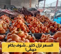 بالأرقام: انهيار كبير ومفاجئ لأسعار الخضروات في سوق علي محسن... الطماطم والبطاط والبصل والبامية تتصدر التراجع