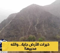 "شاهد بالفيديو والصور: بشائر الخريف تتدفق في اليمن... سيول تروي الوديان وتوقعات بأمطار غزيرة خلال شهر صفر
