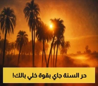 قرار صيفي ساخن: 37 يومًا من الحرارة المرتفعة تنطلق الآن!