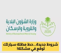 معايير دقيقة لمظلات السيارات: تحديث مهم من البلديات