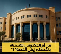من فسيخ بـ120 ألف يوميًا إلى اتهامات بالاتجار بالأعضاء: تفاصيل القبض على زوج "أم مكة" والتحفظ عليها