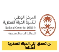 احترافية جديدة في حماية البيئة: "الحياة الفطرية بالسعودية" تقدم معيار الجوالين_البك التفاصيل
