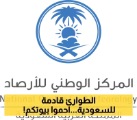 تحذير رسمي عاجل من الأرصاد: أمطار غزيرة وسيول مفاجئة تضرب 5 مناطق سعودية والرياح تخنق الرؤية !