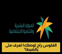 متى يُطلق الضمان الاجتماعي المطور لشهر أغسطس 2025؟ تعرف على الموعد الرسمي