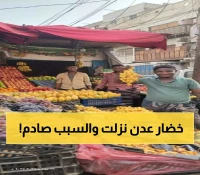 أسعار الخضروات "مستقرة" وارتفاع بالفواكه بعدن.. شاهد أرقام الاستقرار المفاجئ وقائمة الأصناف المتوفرة بالأسواق اليوم!