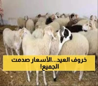 عاجل | أسعار المواشي "تتأرجح بشكل مفاجئ" في دار سعد.. إليكم القائمة الكاملة للأنواع والأوزان المختلفة بعدن!
