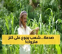 إعلان أممي صادم يُربك اليمنيين: كارثة مناخية مزدوجة تهدد 57% من الأراضي الزراعية بفيضانات مدمرة وجفاف حاد !