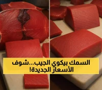 بالأرقام | أسعار أسماك عدن اليوم: من 12 ألف للثمد إلى 24 ألف للديرك
