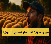 6000 ريال ثابتة للدجاج و15% انخفاض في الإبل: كيف تحكي أرقام عدن قصة نجاح سوق المواشي؟