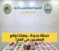 بالأرقام: 300 كيلوغرام مخدرات وراء القبضة الأمنية - كيف تصدت السعودية لـ16 مهرباً عبر 3 جنسيات؟