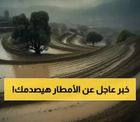 80 محطة رصد تسجل المفاجأة: منطقة واحدة تستحوذ على أعلى معدل أمطار بفارق يتجاوز 50 ملم