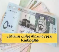 وظائف جدارات التعليمية: رواتب تصل لـ9000 ريال لمهارات تقنية وإدارية تدعم رؤية 2030