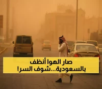 انخفاض العواصف الغبارية بالسعودية 53%... كيف حققت المملكة هذا التحول البيئي المذهل؟