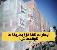 7000 طن إغاثة إماراتية في طريقها لغزة: كيف تنقذ قوافل "الفارس الشهم 3" مستشفيات منهارة وسط مجاعة أودت بحياة 114 طفلاً؟