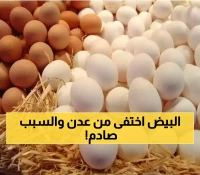 أزمة بيض جديدة في عدن: طبق البيض يباع في "السوق السوداء" بزيادة 1500ر عن السعر المخفض بعد تحسن العملة !