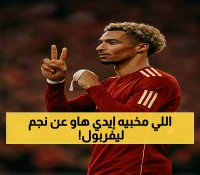 الكشف عن خطة إيدي هاو السرية لإيقاف مهاجم ليفربول الـ69 مليون الذي كان هدفاً لنيوكاسل
