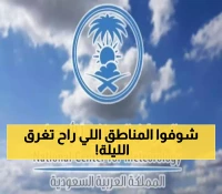 تحذيرات الأرصاد: 3 مناطق جنوبية تواجه أمطاراً رعدية غزيرة وموجاً بحرياً يتجاوز المترين ونصف حتى الليل