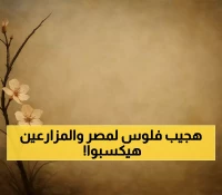 تصدير الرمان المصري للهند قريباً: خطوة واعدة نحو توسيع الصادرات الزراعية بوعد الرد خلال أسبوعين