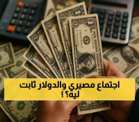 قبل اجتماع المركزي المصري: استقرار الدولار مع احتياطي نقدي وصل 49 مليار.. واليورو يتباين