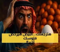 لأن الحكومة كسرت احتكار التجار.. البيض يسجل انخفاضاً قياسياً بـ33% رغم مقاومة السوق السوداء