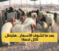 قفزة مفاجئة لأسعار اللحوم في عدن والكيلو جرام الغنمي يصل إلى رقم غير مسبوقة وسط أزمة خانقة