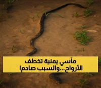 بين وفاة طفلتين غرقاً وضحية لدغة أفعى: 5 أخبار تكشف الواقع المؤلم للخدمات الأساسية في اليمن