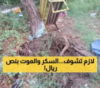 عدن وتعز على حافة الهاوية: أدوية مزيفة تهدد مرضى السكري..  و "غُصن البان" يُباع بلا رقابة !