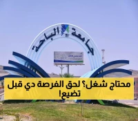 فرصتك الأخيرة حتى 11 سبتمبر: 3 دبلومات عليا إلكترونية تفتح أبواب المستقبل المهني في تخصصات مطلوبة