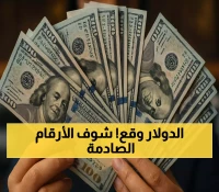 تراجع حاد للدولار بـ36 قرشاً في 9 بنوك مصرية.. وتباين مفاجئ في الإسكندرية
