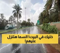 عاجل: الأرصاد تحذر سكان الباحة... سيول وصواعق خطيرة حتى 9 مساءً!