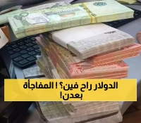 شاهد: التحول المذهل في عدن… من 'نريد دولارات' إلى 'لا نقبل عملة أجنبية' خلال أيام!
