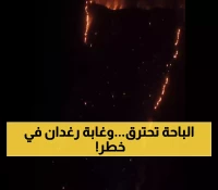 عاجل: النيران تلتهم جوهرة الباحة الخضراء... هل تختفي غابة رغدان الساحرة إلى الأبد؟