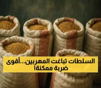 عاجل: زاتكا تدمر شبكة تهريب ضخمة - ضبط 261 ألف حبة مخدرات و10 كيلو شبو في 4 عمليات خاطفة!