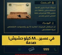 عاجل: حرس الحدود يحبط عملية تهريب ضخمة بـ88 كيلو حشيش في عسير... والتفاصيل صادمة!