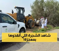 شاهد: عملية إنقاذ مذهلة لشجرة عمرها مئات السنين في جازان... كيف تحدوا الطبيعة؟