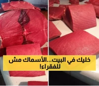 صادم: أسعار الأسماك تنفجر في عدن اليوم - السخلة بـ20 ألف والديرك يصل 22 ألف!